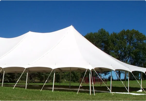 Abri de tentes à poteaux 20 × 40 et de tentes de sport